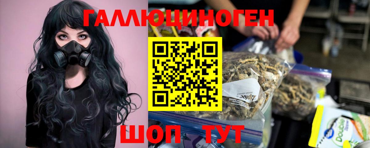 Галлюциногенные грибы GOLDEN TEACHER  Псилоцибиновые грибы мицелий  Дербент  Вход с VPN 