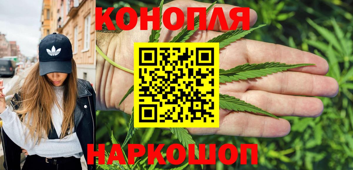 Каннабис сатива  Вход с VPN  Дербент  Шишки марихуана сатива  Марихуана конопля 